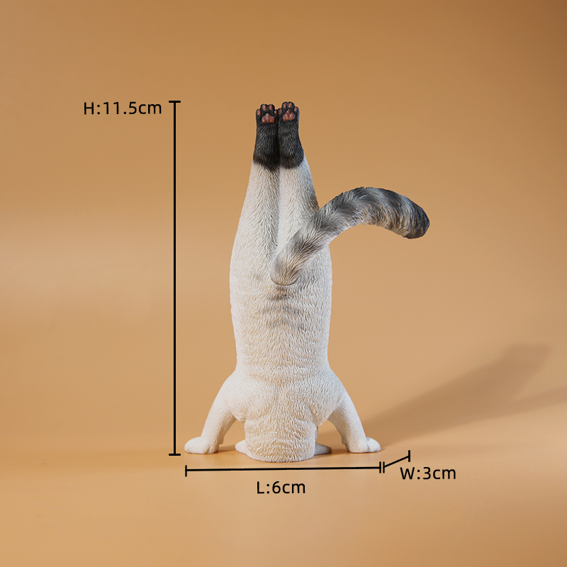 1/6 Scale Mini Simulated Fitne - Yoga Fitness First 评论和价格