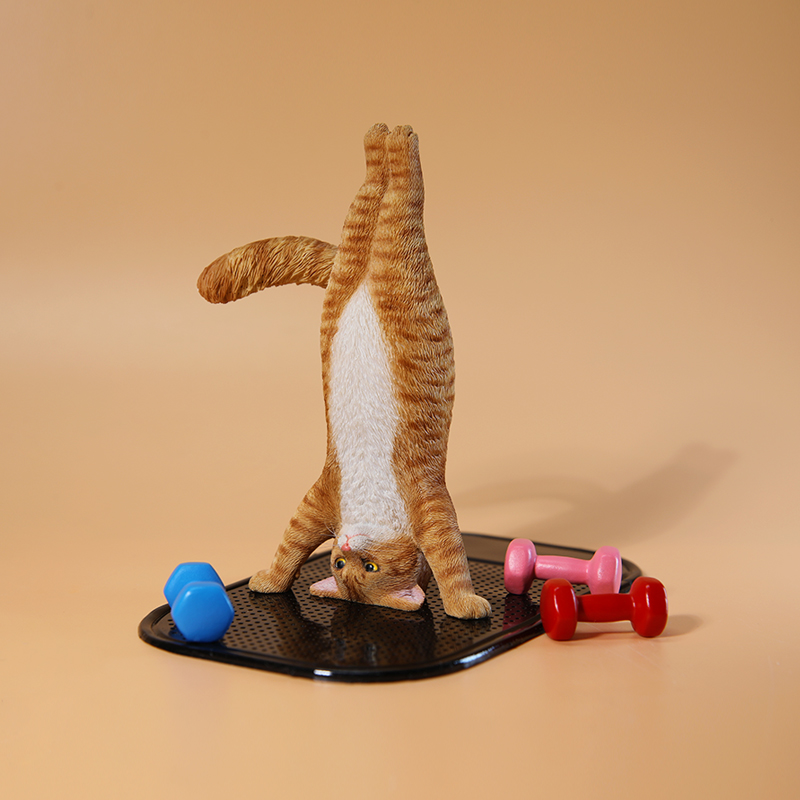 1/6 Scale Mini Simulated Fitne - Yoga Fitness First 评论和价格