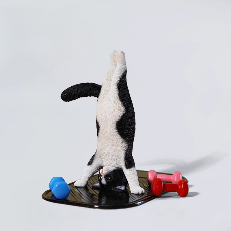 1/6 Scale Mini Simulated Fitne - Yoga Fitness First 评论和价格